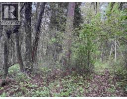 550 Dog Creek Road, Williams Lake, BC V2G3P9 Photo 13