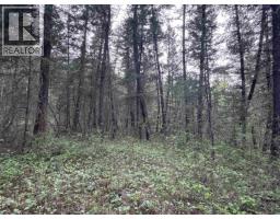 550 Dog Creek Road, Williams Lake, BC V2G3P9 Photo 7