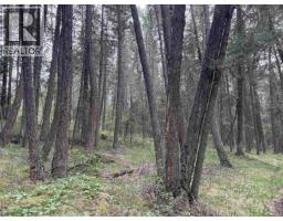 550 Dog Creek Road, Williams Lake, BC V2G3P9 Photo 6