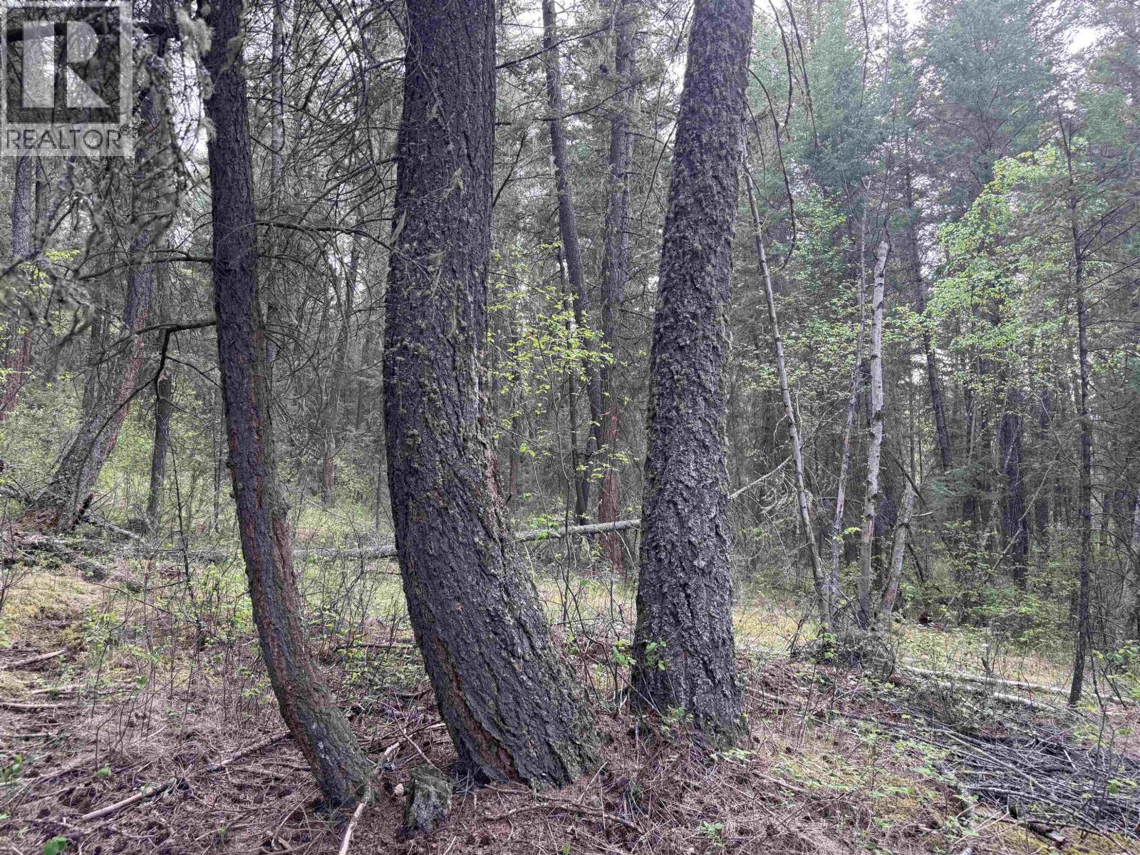 550 DOG CREEK ROAD