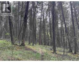 550 Dog Creek Road, Williams Lake, BC V2G3P9 Photo 12