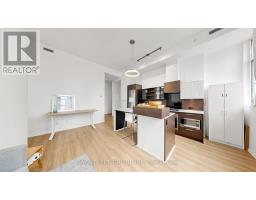 311 - 75 St Nicholas Street, Toronto, ON M4Y0A5 Photo 10