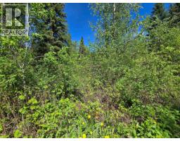 4209 Antoine Lake Road, Horsefly, BC V0L1L0 Photo 35