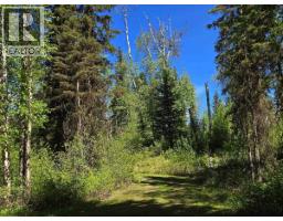 4209 Antoine Lake Road, Horsefly, BC V0L1L0 Photo 34