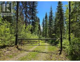 4209 Antoine Lake Road, Horsefly, BC V0L1L0 Photo 33