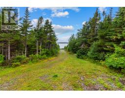 102 Main Road thumbnail 17