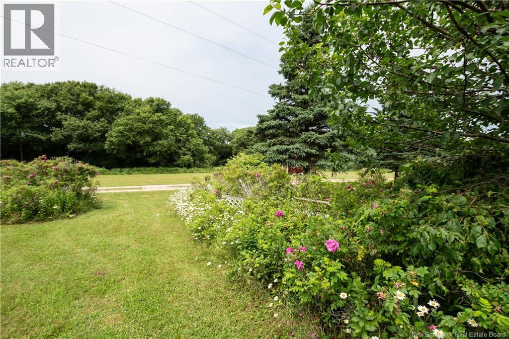 279 Cape Enrage Road - 45