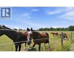 2986 Wessel Drive, Lincoln, ON L2R6P7 Photo 27