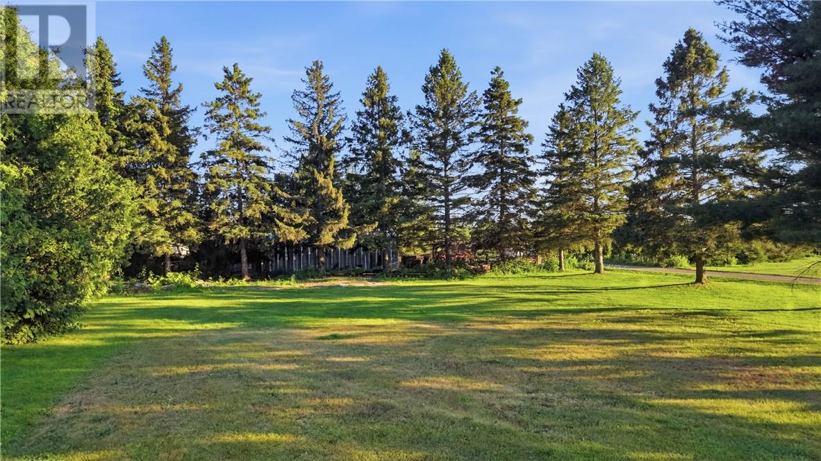 133 Labine Street - 52
