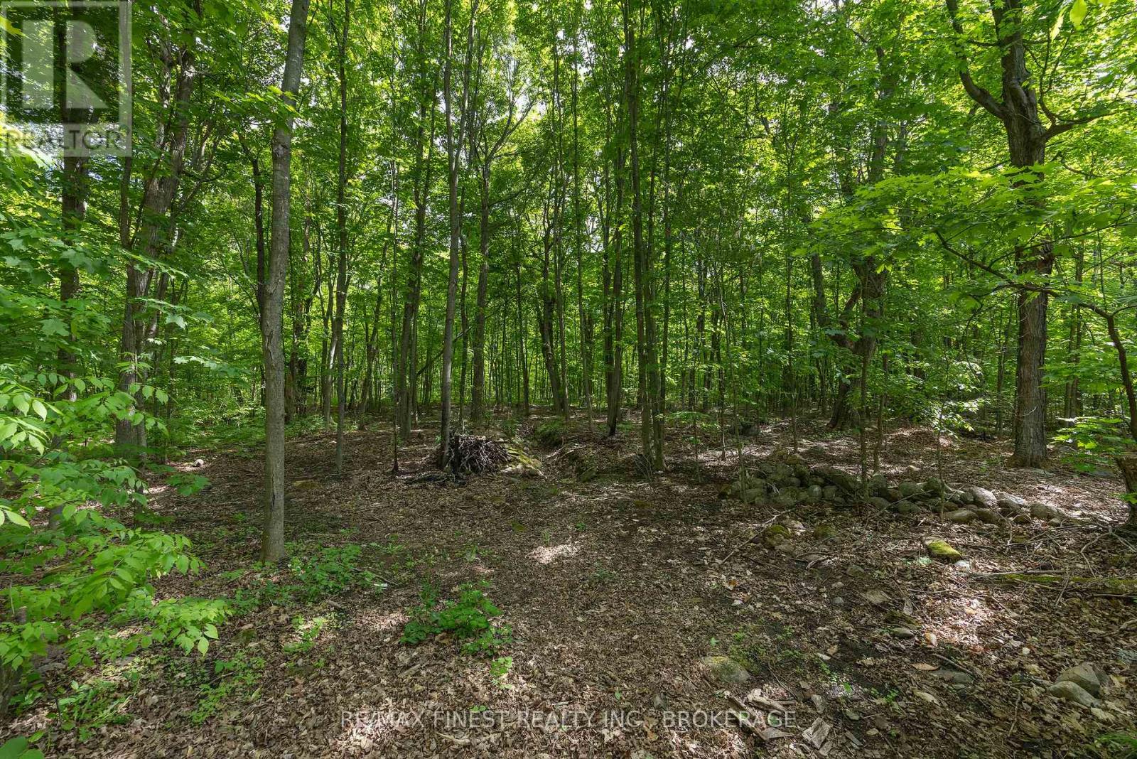 1465 MIDDLE ROAD - 38