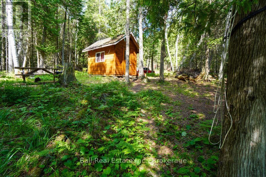 382 Old Detlor Road, Bancroft, ON photo 28