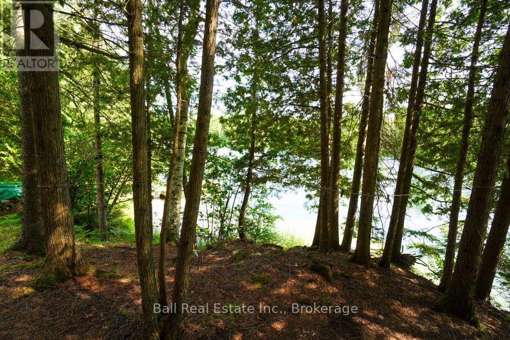 382 Old Detlor Road, Bancroft, ON photo 36