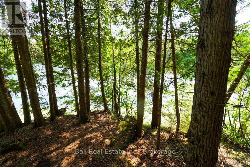 382 Old Detlor Road, Bancroft, ON photo 37