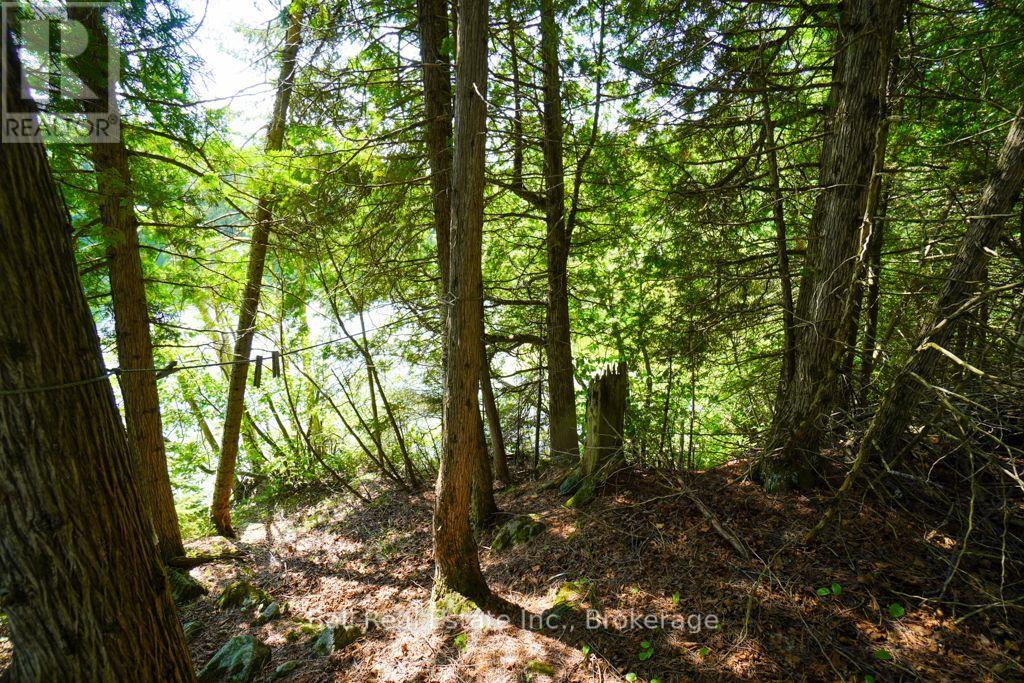 382 Old Detlor Road, Bancroft, ON photo 38