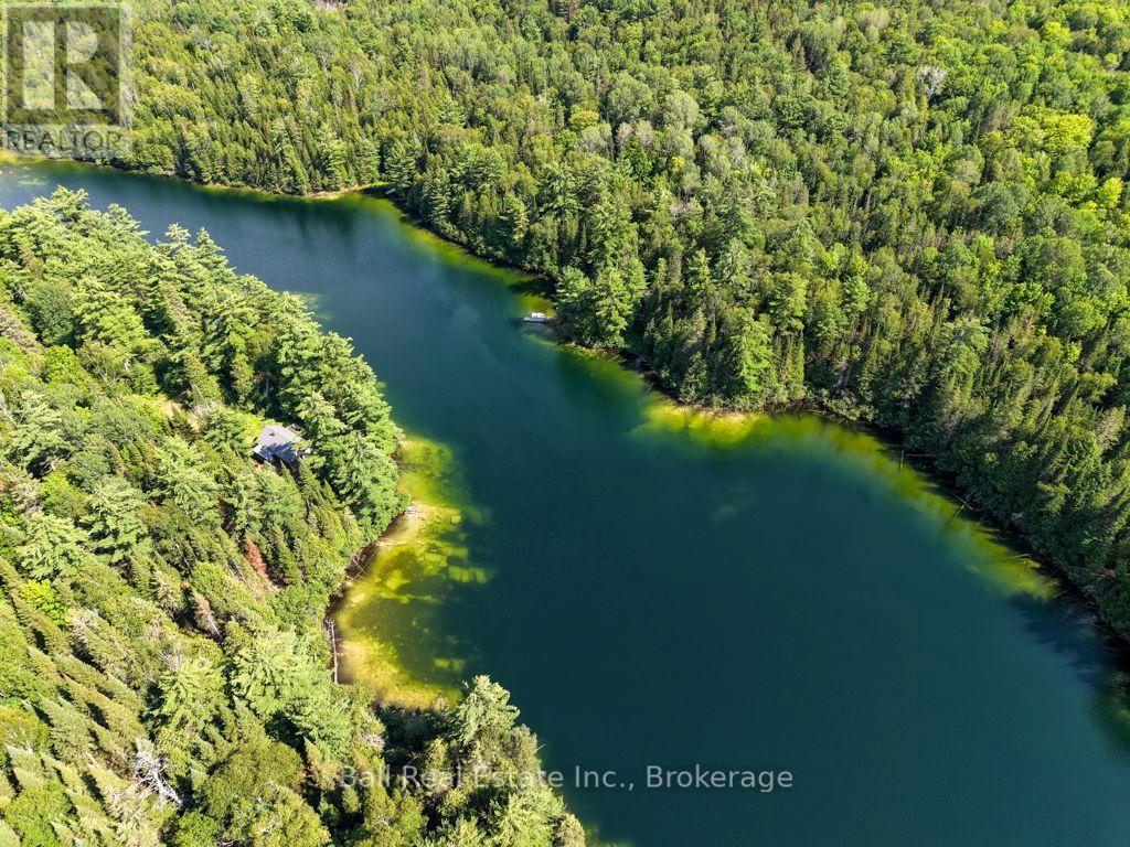 382 Old Detlor Road, Bancroft (Dungannon Ward), Ontario, K0L2L0, Bancroft (Dungannon Ward), Ontario — photo 4 of 5