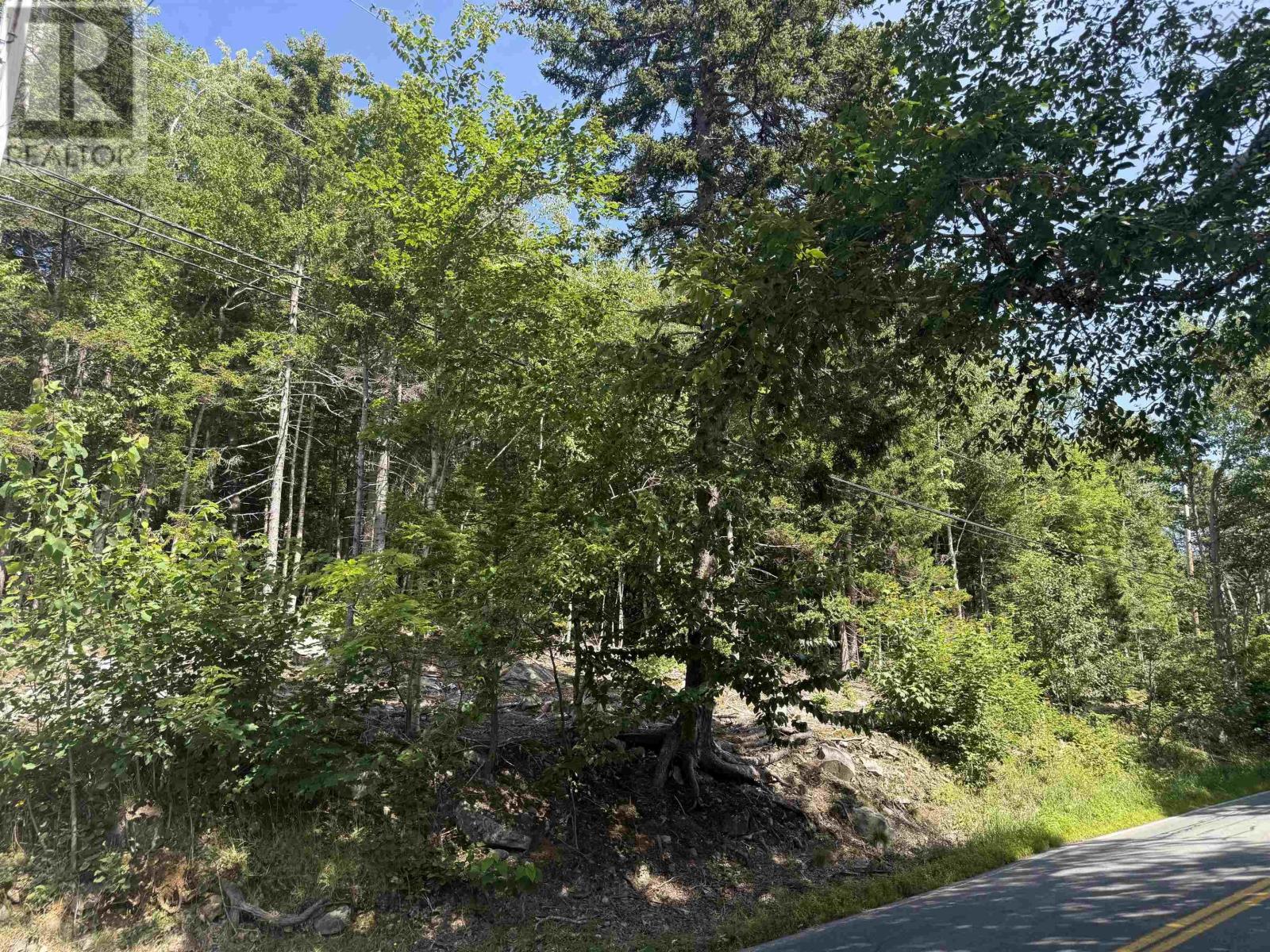 Property 15 of 16 of LOT 38 - 1765 Waverley Road