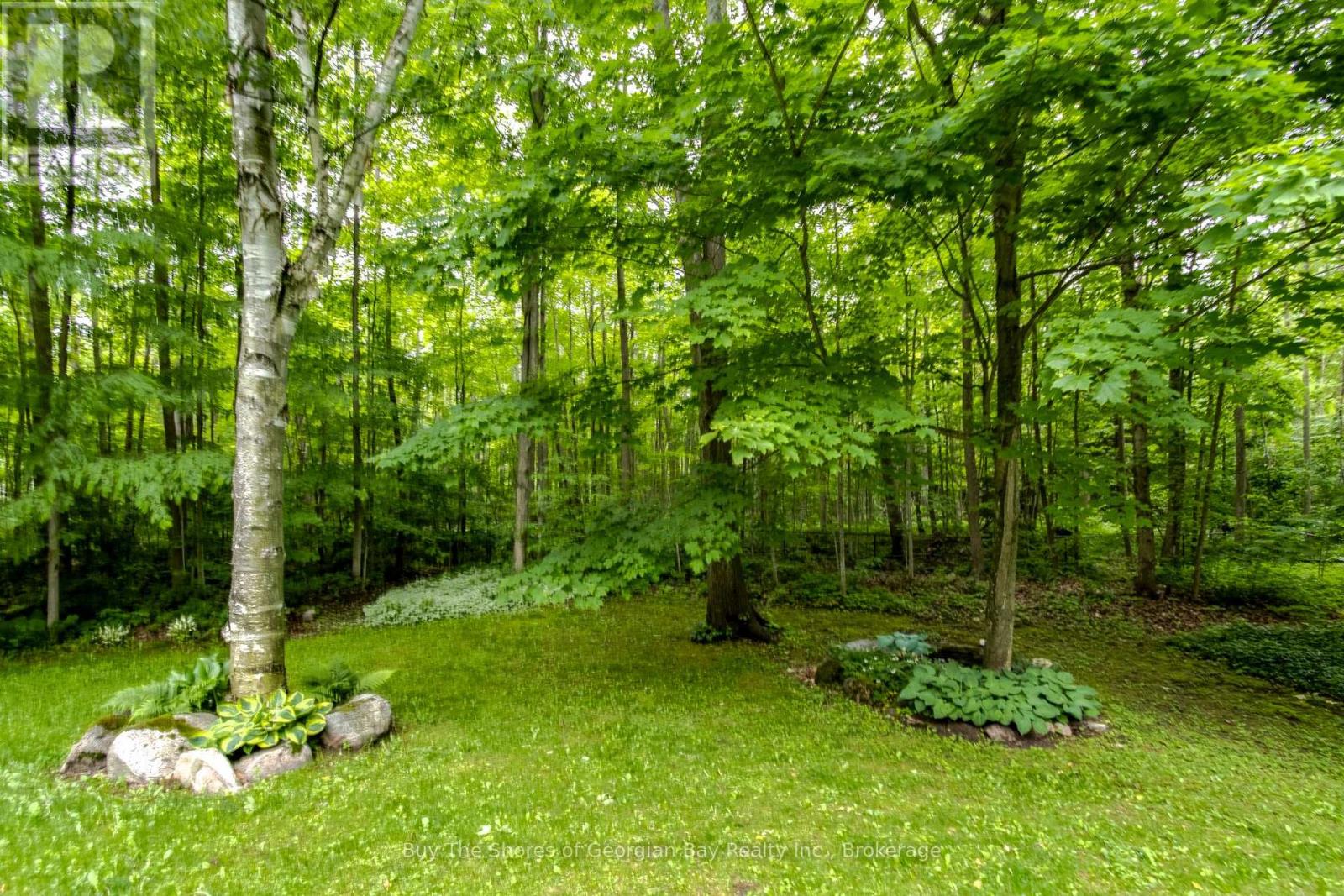 2367 MACDONALD ROAD - Image 40