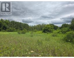 Pt Lt 26 Con 8 Pr174599 Buckwheat Road, Edwardsburgh/cardinal, ON K0E1X0 Photo 6