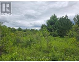 Pt Lt 26 Con 8  Pr116457 Buckwheat Road, Edwardsburgh/cardinal, ON K0E1X0 Photo 6