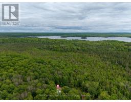 5301 620 Highway, Wollaston, ON K0L1P0 Photo 20