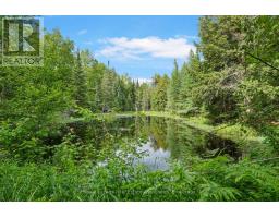 5301 620 Highway, Wollaston, ON K0L1P0 Photo 21