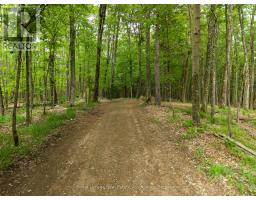 5301 620 Highway, Wollaston, ON K0L1P0 Photo 23