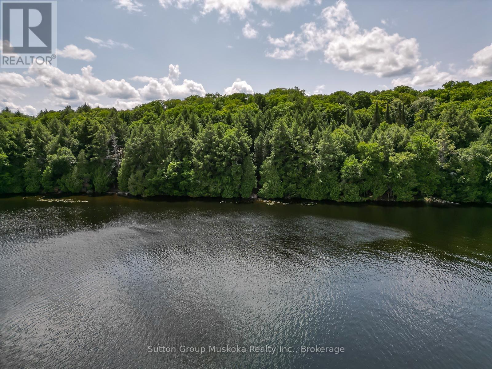 LOT 1 ESIG Lane, Lake of Bays (Sinclair), Ontario, P1H2J6, Lake of Bays (Sinclair), Ontario — photo 5 of 5