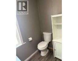 5206 49 Street, Castor, AB T0C0X0 Photo 16