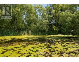1104 County Road 16 Road, Merrickville Wolford, ON K0G1G0 Photo 19