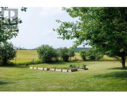 243 Fairbairn Road, Kawartha Lakes, ON K0M1A0 Photo 44