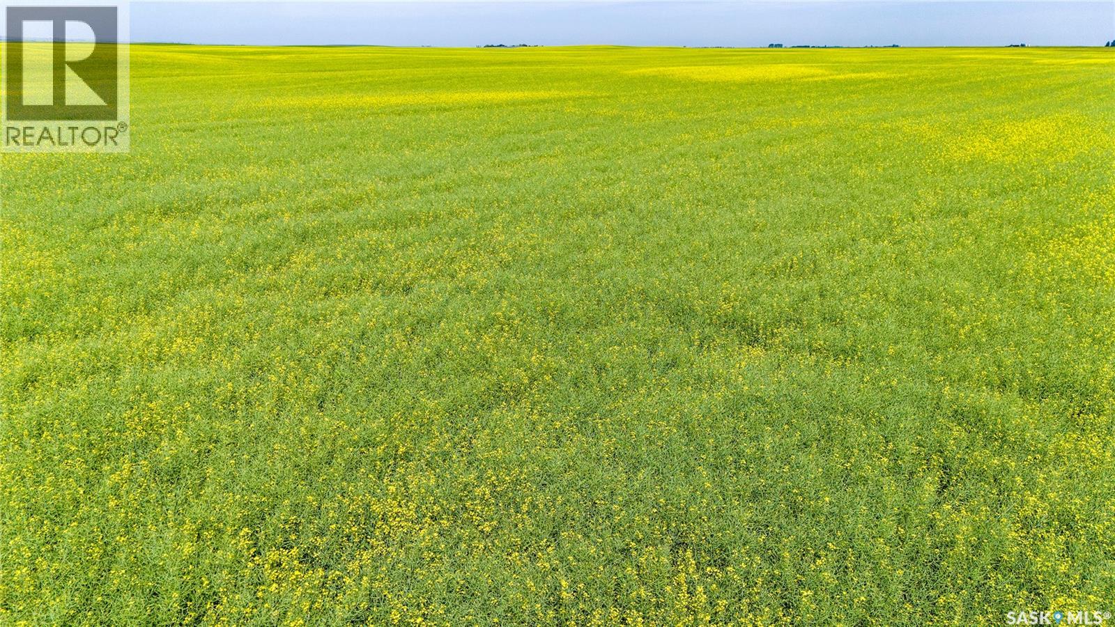 NE 13-13-25 W2 - BRIERCREST AREA, Baildon Rm No. 131, Saskatchewan, S0H0K0, Baildon Rm No. 131, Saskatchewan — photo 4 of 5