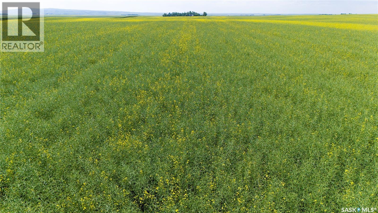 NE 13-13-25 W2 - BRIERCREST AREA, Baildon Rm No. 131, Saskatchewan, S0H0K0, Baildon Rm No. 131, Saskatchewan — photo 5 of 5