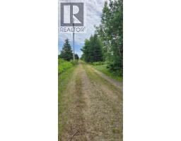 229 Du Parc, Val Comeau, NB E1X4B6 Photo 21