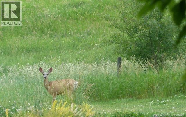 420069 Range Road 284 - Photo 10