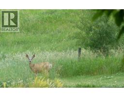 9, 420069 Range Road 284, Rural Ponoka County, AB T4J1R3 Photo 11