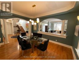 Living room - 129 Lakeland Crescent, Richmond Hill, ON L4E3A1 Photo 8