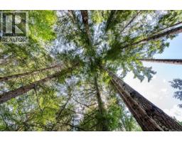 307 Bates Dr, Fanny Bay, BC V0R1W0 Photo 55