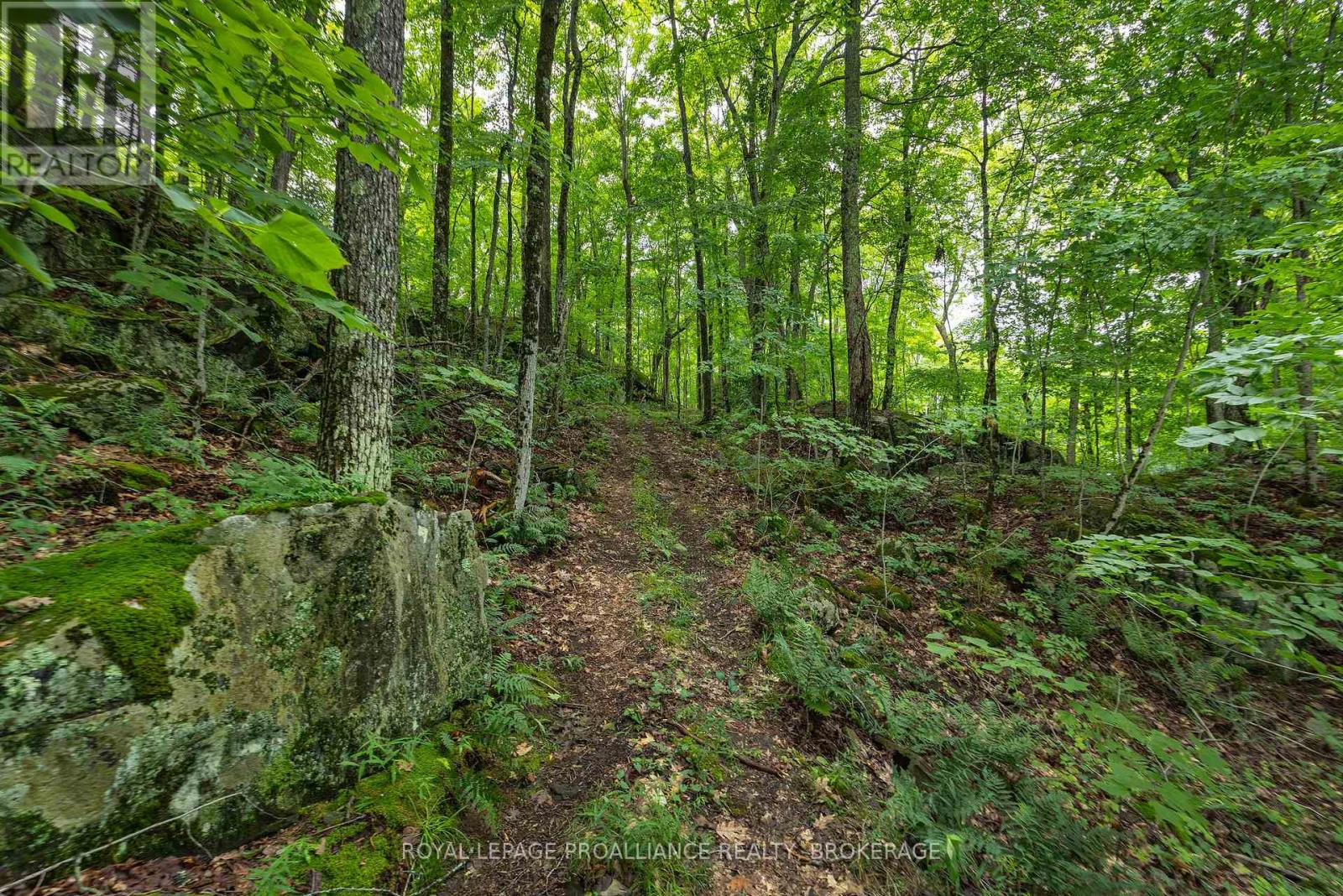 59 SUNSET SHORES LANE - 14