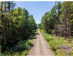 Lot 5, Boutilier Branch Road, Kemptville, NS B5A5P3 Photo 9