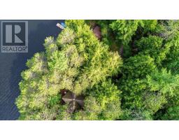 49a Mcallister Road, Bancroft, ON L8H6K4 Photo 30