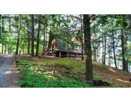 49a Mcallister Road, Bancroft, ON L8H6K4 Photo 31