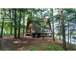 49a Mcallister Road, Bancroft, ON L8H6K4 Photo 32