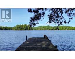 49a Mcallister Road, Bancroft, ON L8H6K4 Photo 37