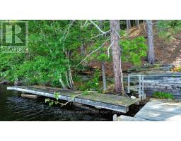 49a Mcallister Road, Bancroft, ON L8H6K4 Photo 39