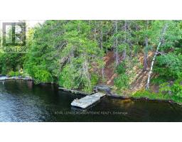 49a Mcallister Road, Bancroft, ON L8H6K4 Photo 40