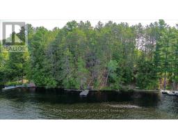 49a Mcallister Road, Bancroft, ON L8H6K4 Photo 41