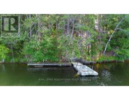 49a Mcallister Road, Bancroft, ON L8H6K4 Photo 42