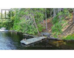 49a Mcallister Road, Bancroft, ON L8H6K4 Photo 43