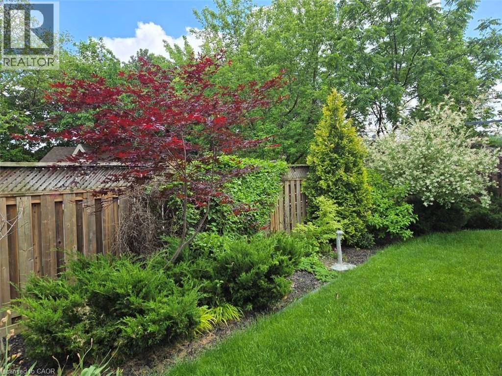 Thumbnail 46