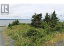 289-291 Seal Cove Road thumbnail 3